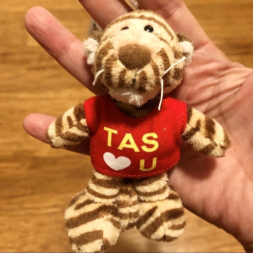 NWT Taipei American School TAS tiger keychain